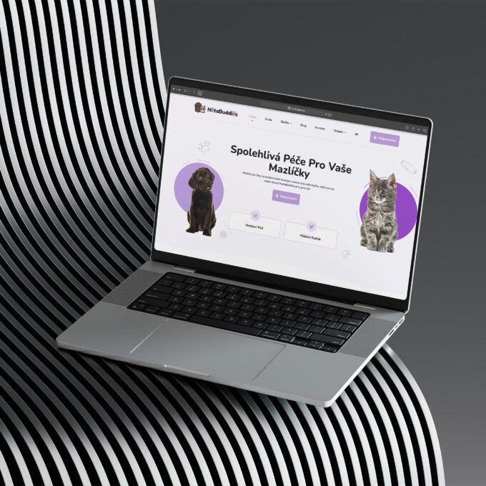 AIM Weby - Tvorba webových stránek - NetaBuddies