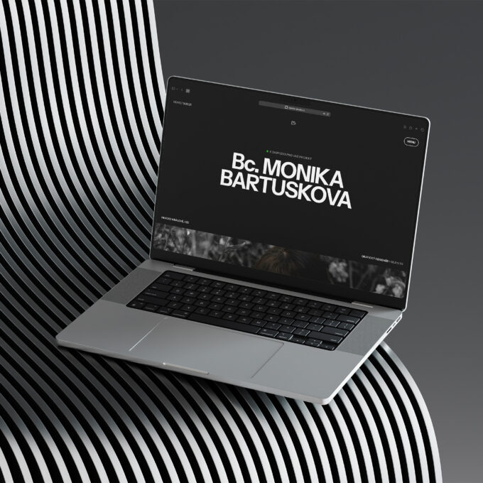 AIM Weby - Tvorba webových stránek - Monika Visuals Monika Bartůšková